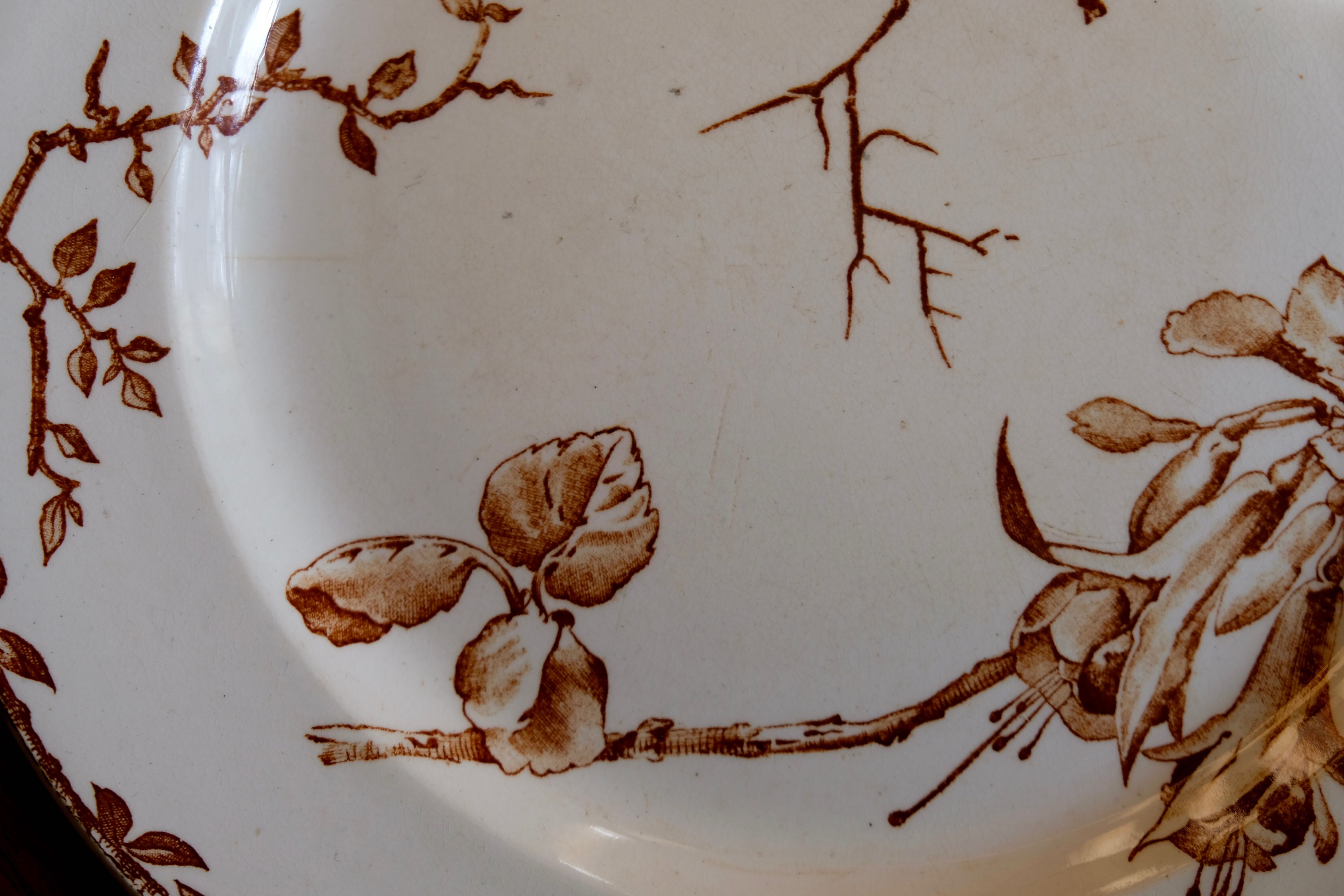 Antique brown Oxford model plate, HB - Choisy-le-Ro Co., 1900s