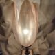 Lampe de Laurent Rougier