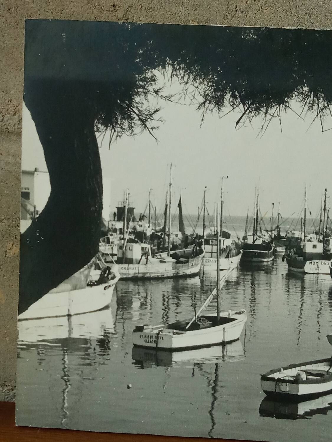 Photo vintage Ile d'Oleron