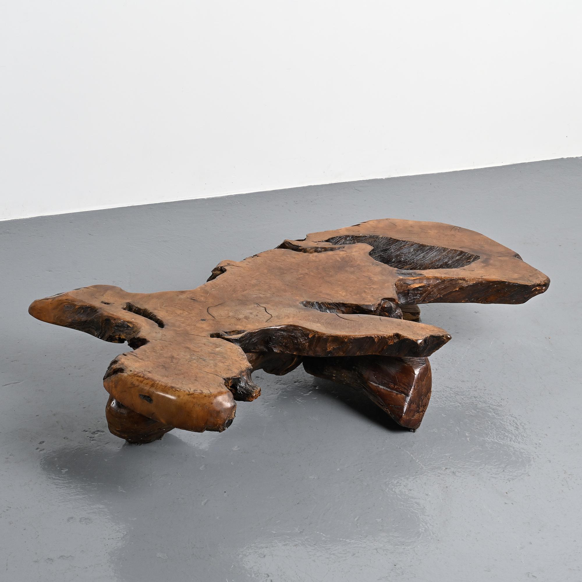 Table basse brutaliste en loupe d'orme, circa 1960