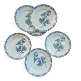 11 assiettes anciennes en Terre de fer "Flore"