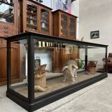 Large display counter from the early 20th century