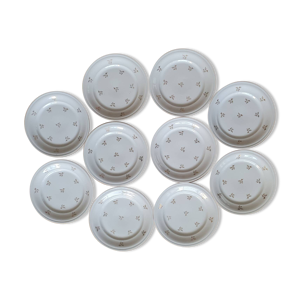 10 assiettes en porcelaine