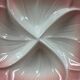 Plat fleur rose