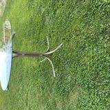 Round Bauhaus table in transparent glass and chrome - grey silver tubular base.