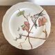 set de 12 assiettes polychrome 1850 ondulées Brownfield England oiseaux