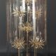 Cabinet of Curiosities globe with sea urchins Plococidaris verticillata