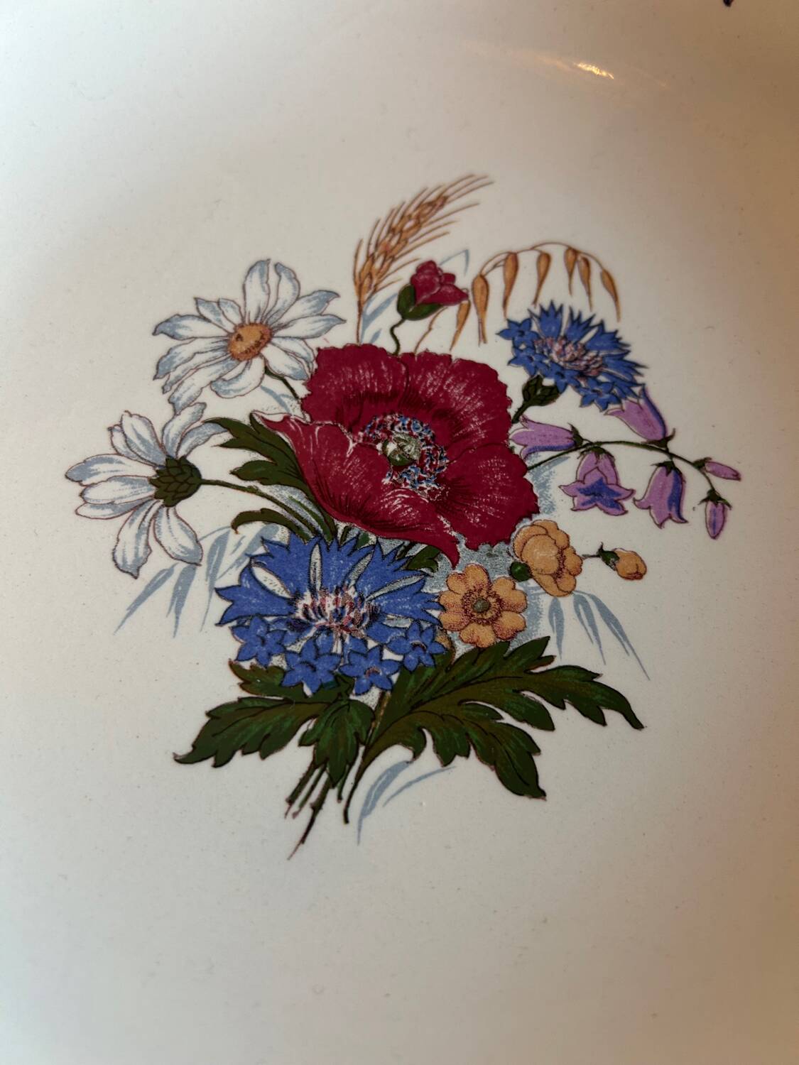 Large antique fine earthenware plate – Sarreguemines – Aigreste decoration