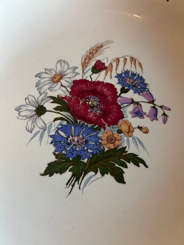 Grand plat ancien en faïence fine – Sarreguemines – décor Aigreste