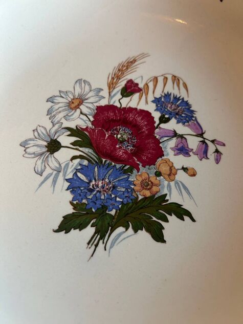Large antique fine earthenware plate – Sarreguemines – Aigreste decoration