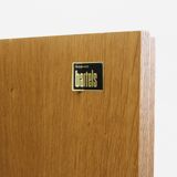Vintage Brutalist high cabinet 1970s Gerhard Bartels