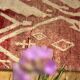 Boujaad carpet