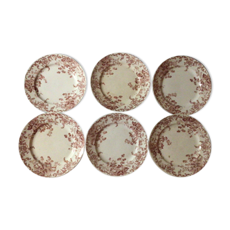 Lot of 6 plates of st. Amand campanule iron earth