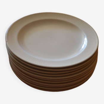 Flat plate