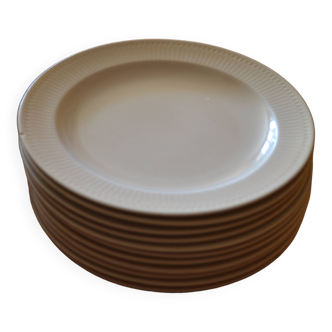 Assiette plate