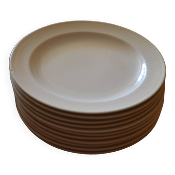 Flat plate