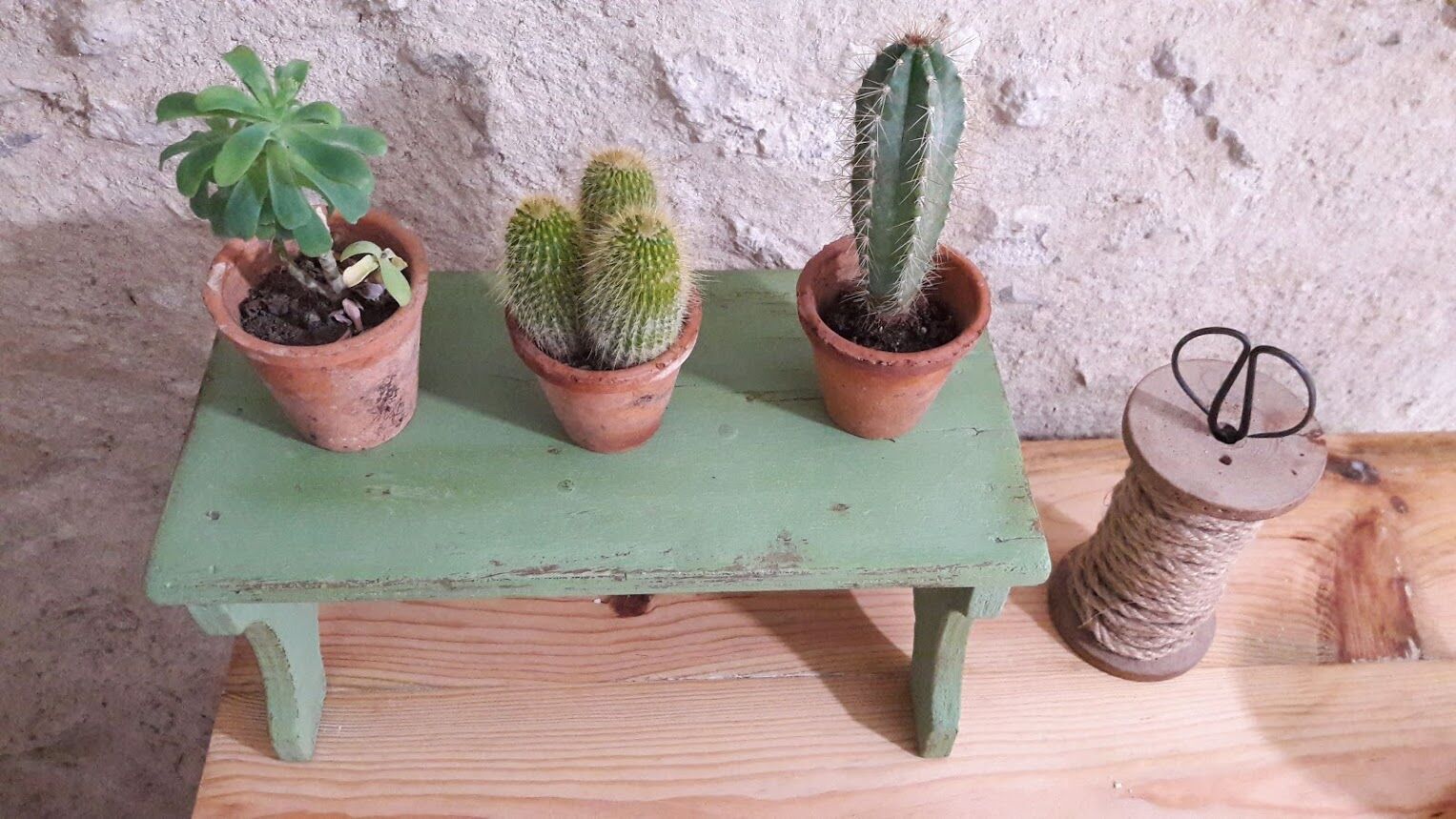 bench