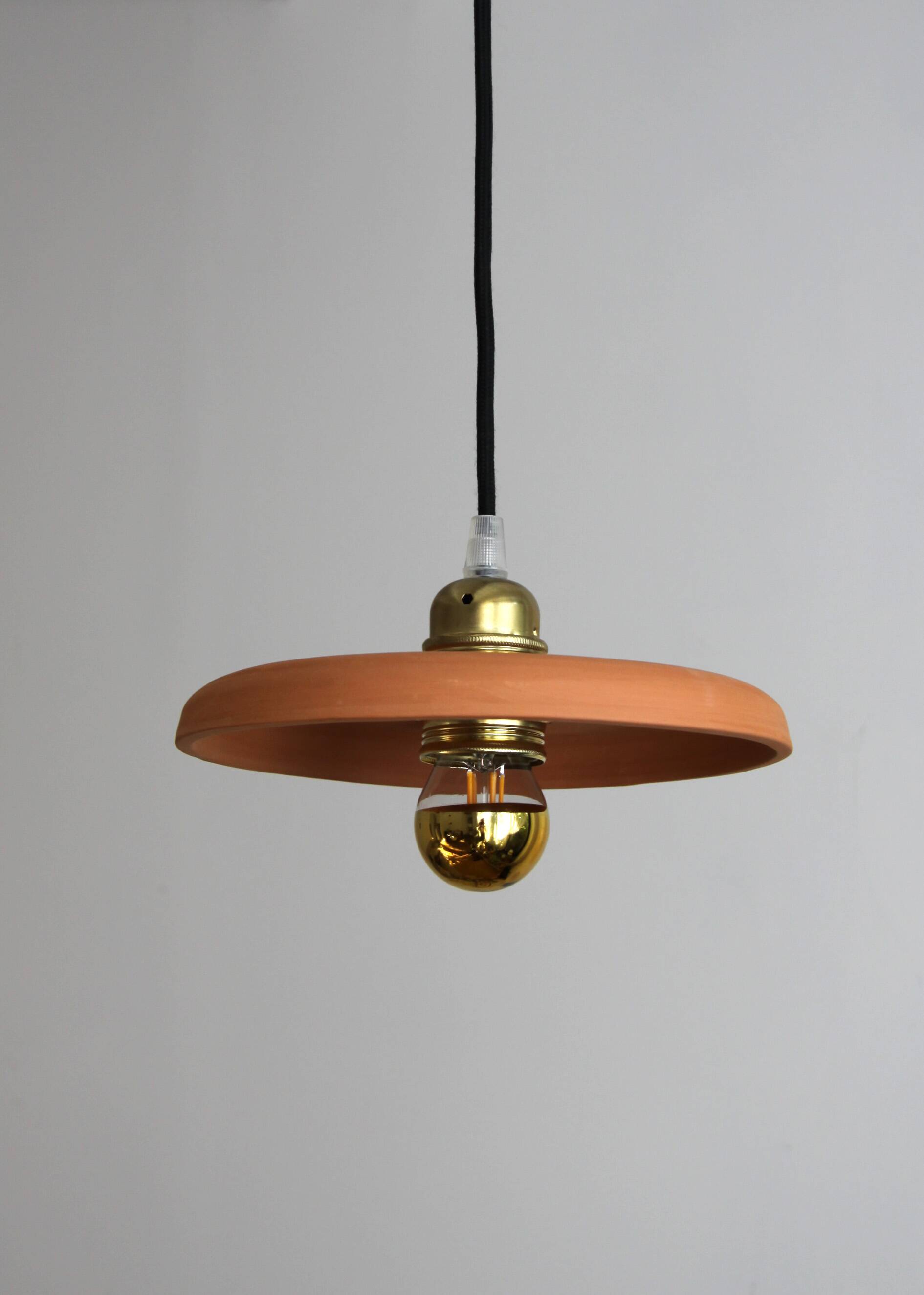 Terracotta suspension