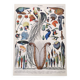 Old lithograph plate birds feathers 1900