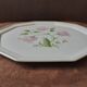 Large Limoges porcelain dish