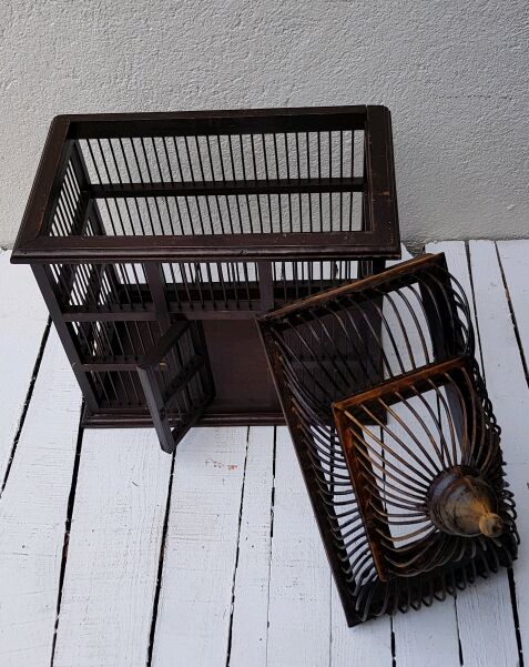 Birdcage to ask