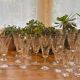 Villeroy Boch Concorde glassware set