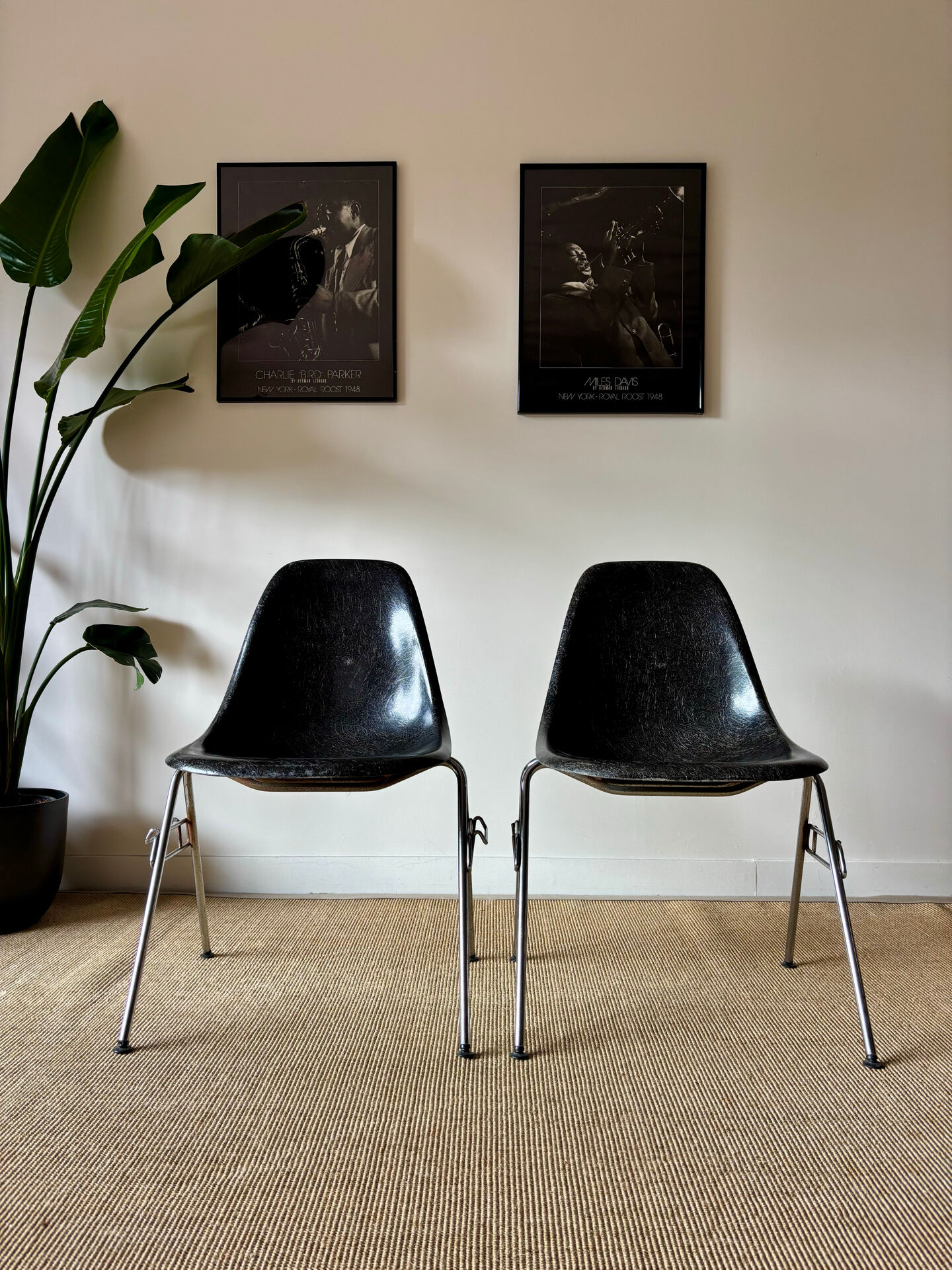 Eames DSS chairs (ed. Herman Miller - fibreglass)