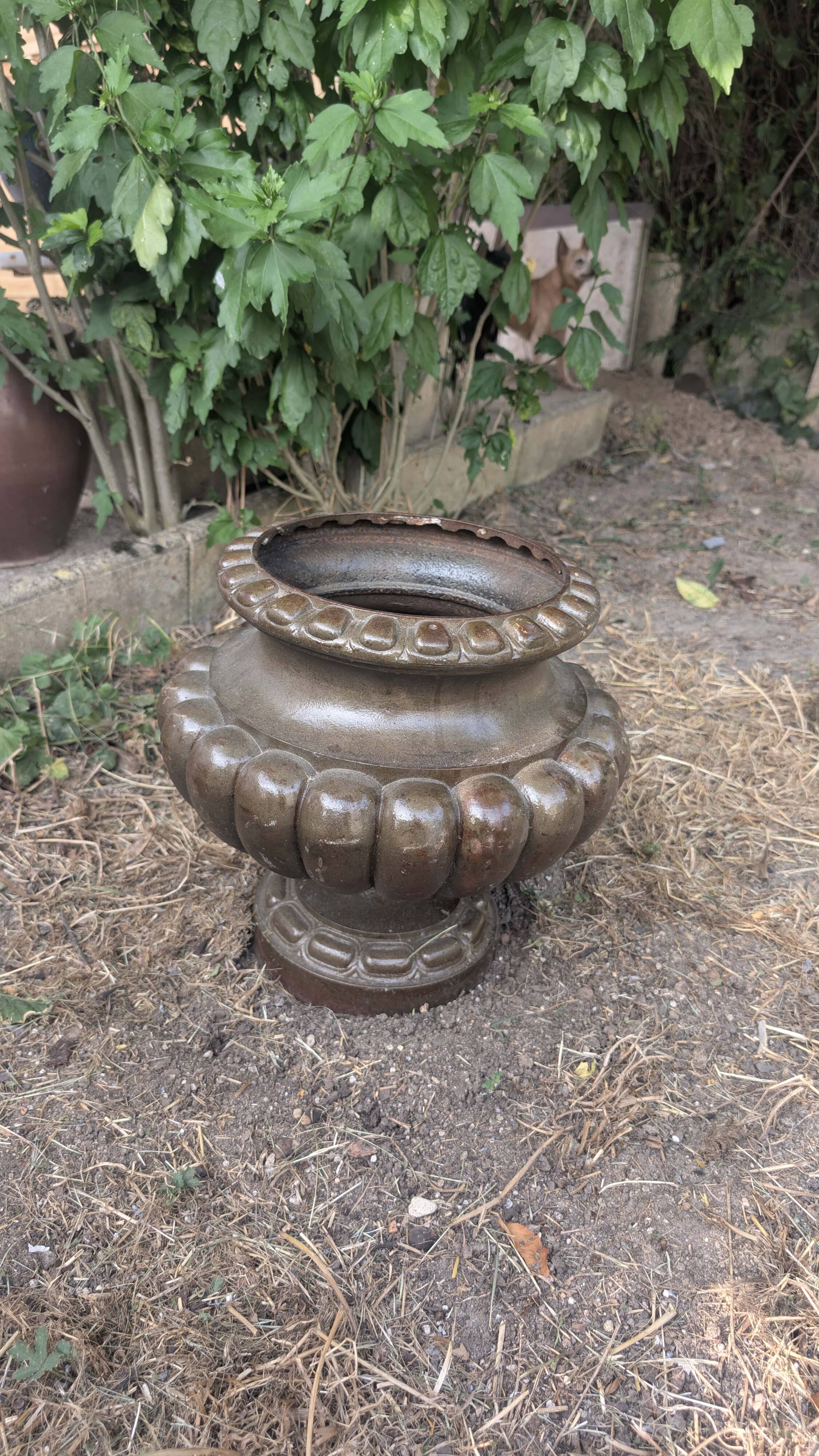 Medici vase with gadroons in cast iron by alfred corneau in charleville, 19th century
