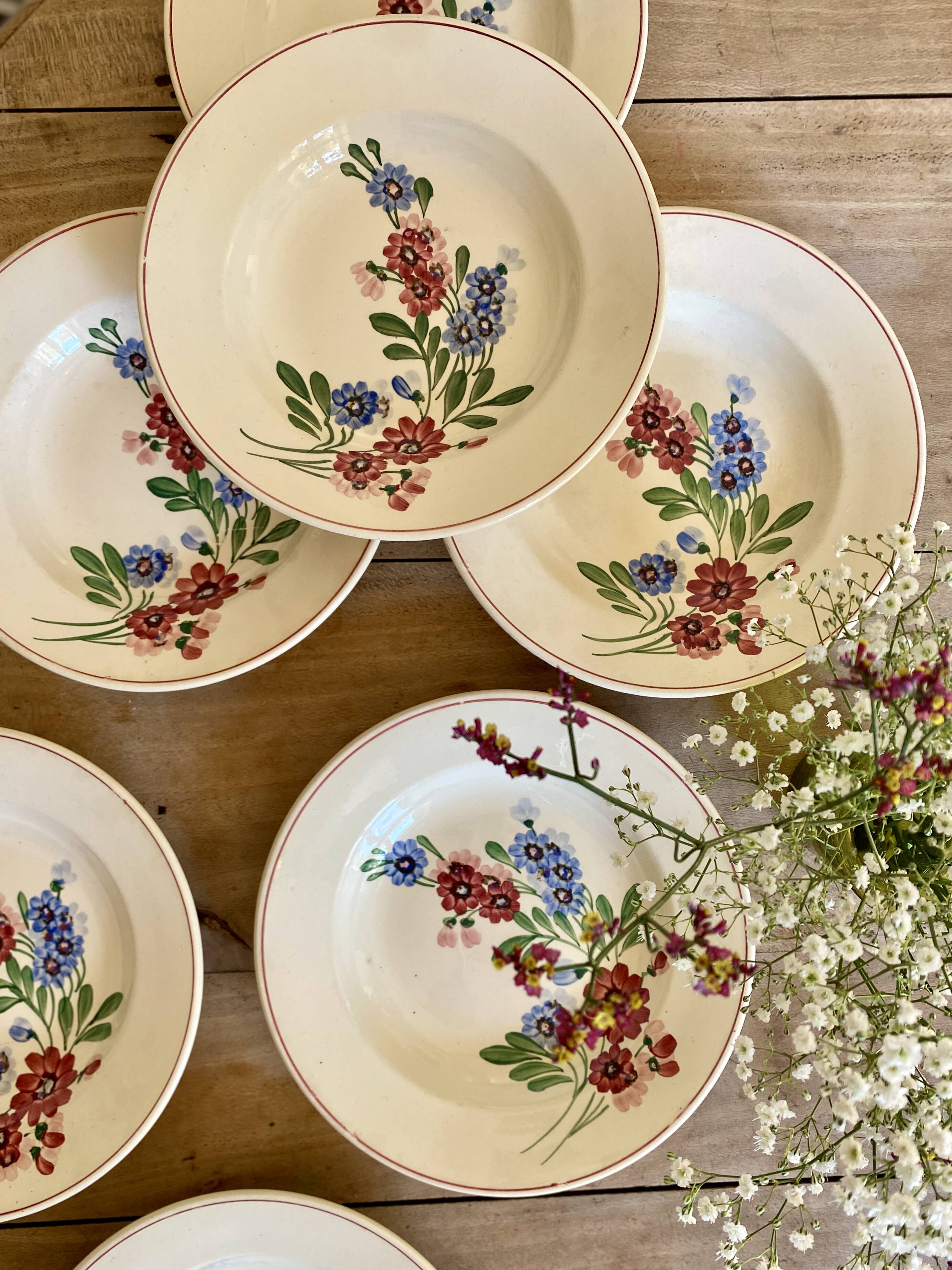 Set of 7 vintage soup plates, Aigueperse de Sarreguemines