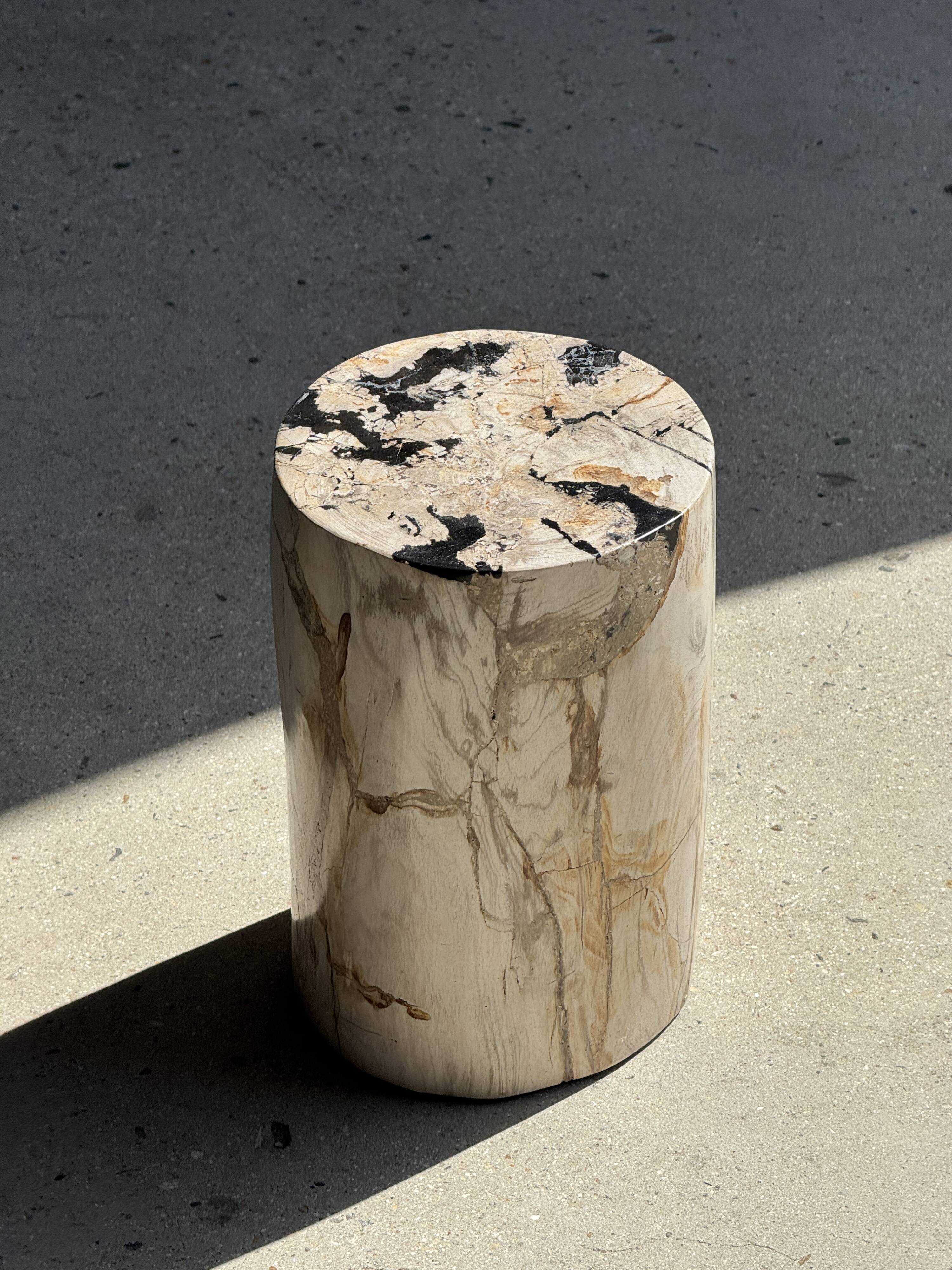Small white petrified wood side table with black inlay H28 D18 -