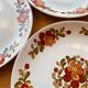 Manitoba plates, Moulin des Loups