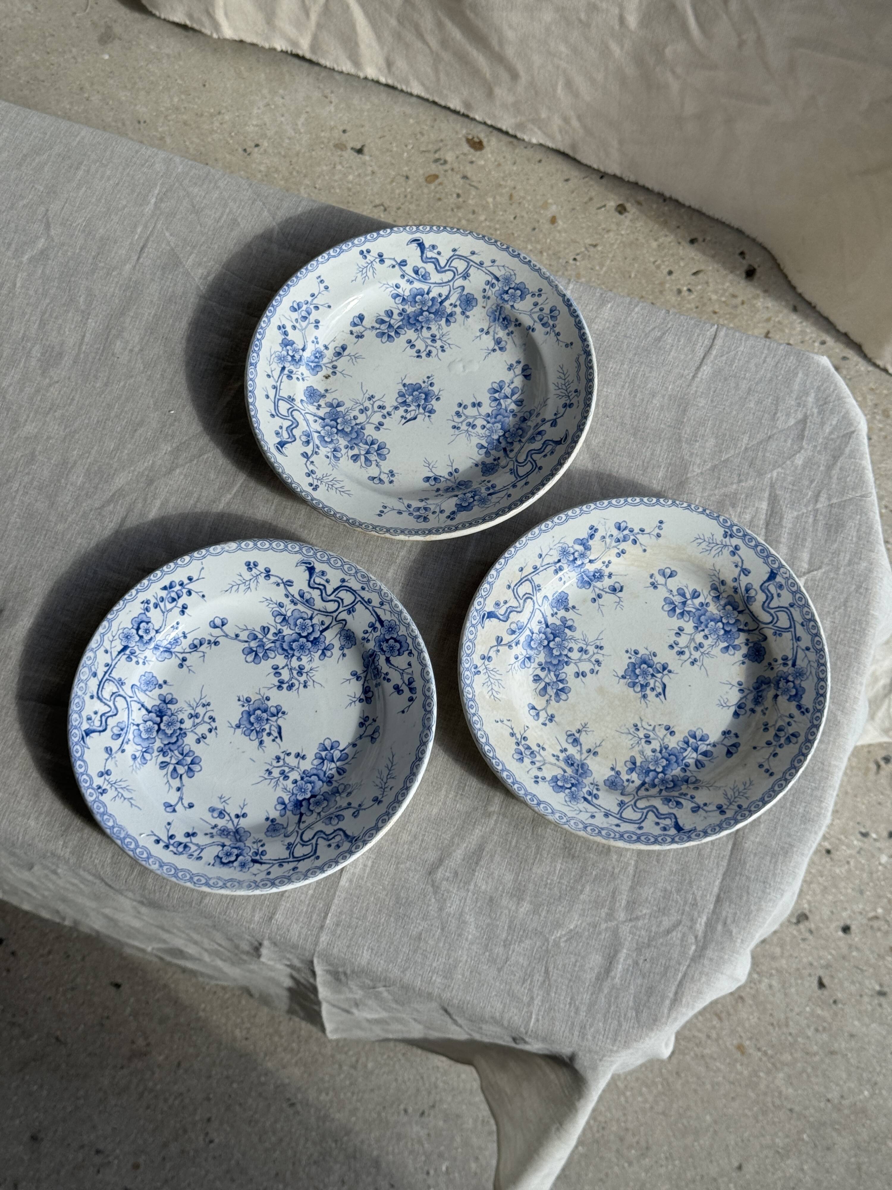 Set of 3 blue plates from Gien pottery, Fleurette model, D22.5.