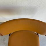 Vintage set of chairs skai and rosewood