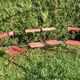 set of 4 folding iron and wood garden chairs early twentieth century