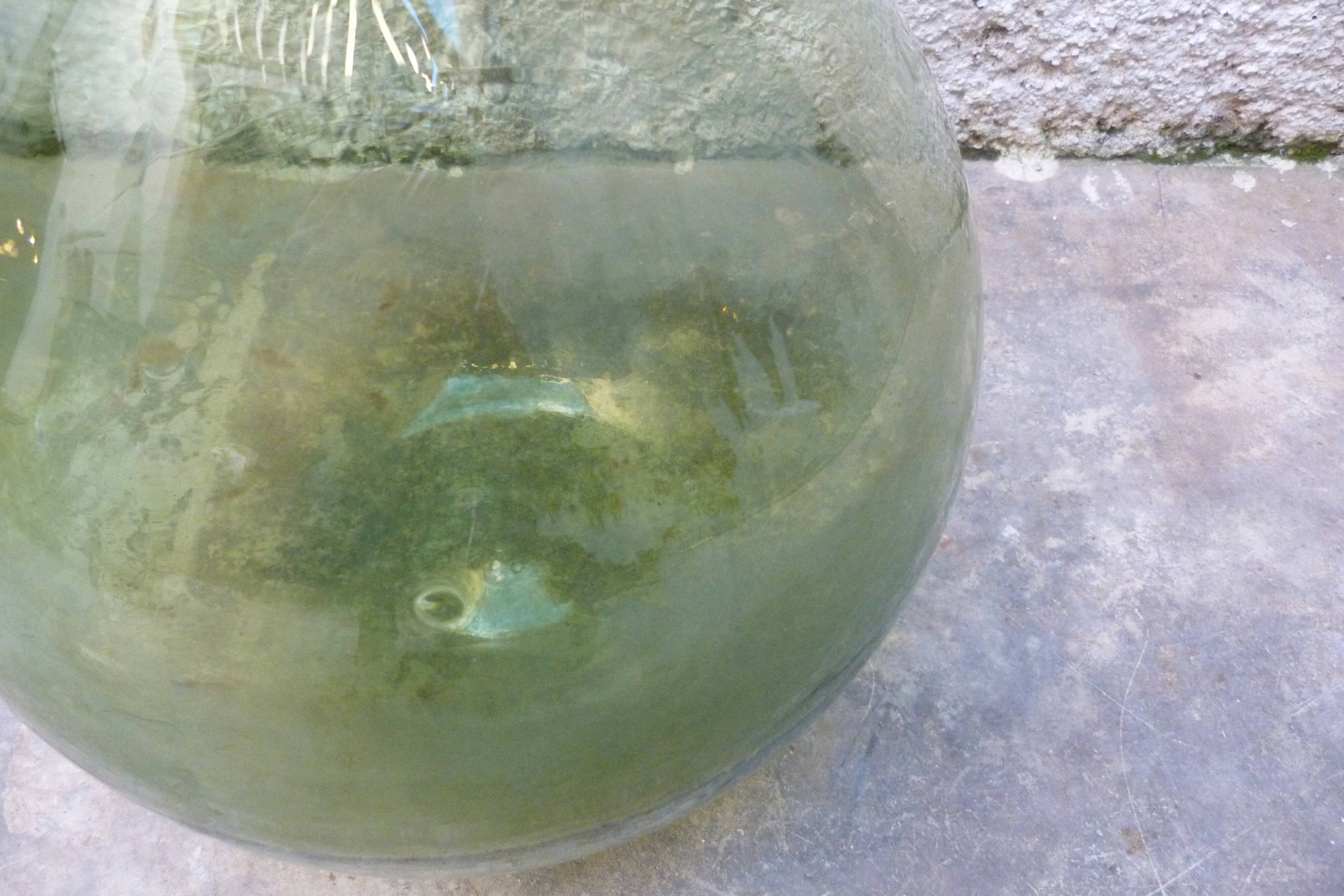 Old demijohn 13/14l