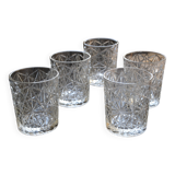 5 Rocco Bormioli whiskey glasses
