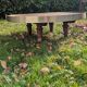 Mango wood coffee table