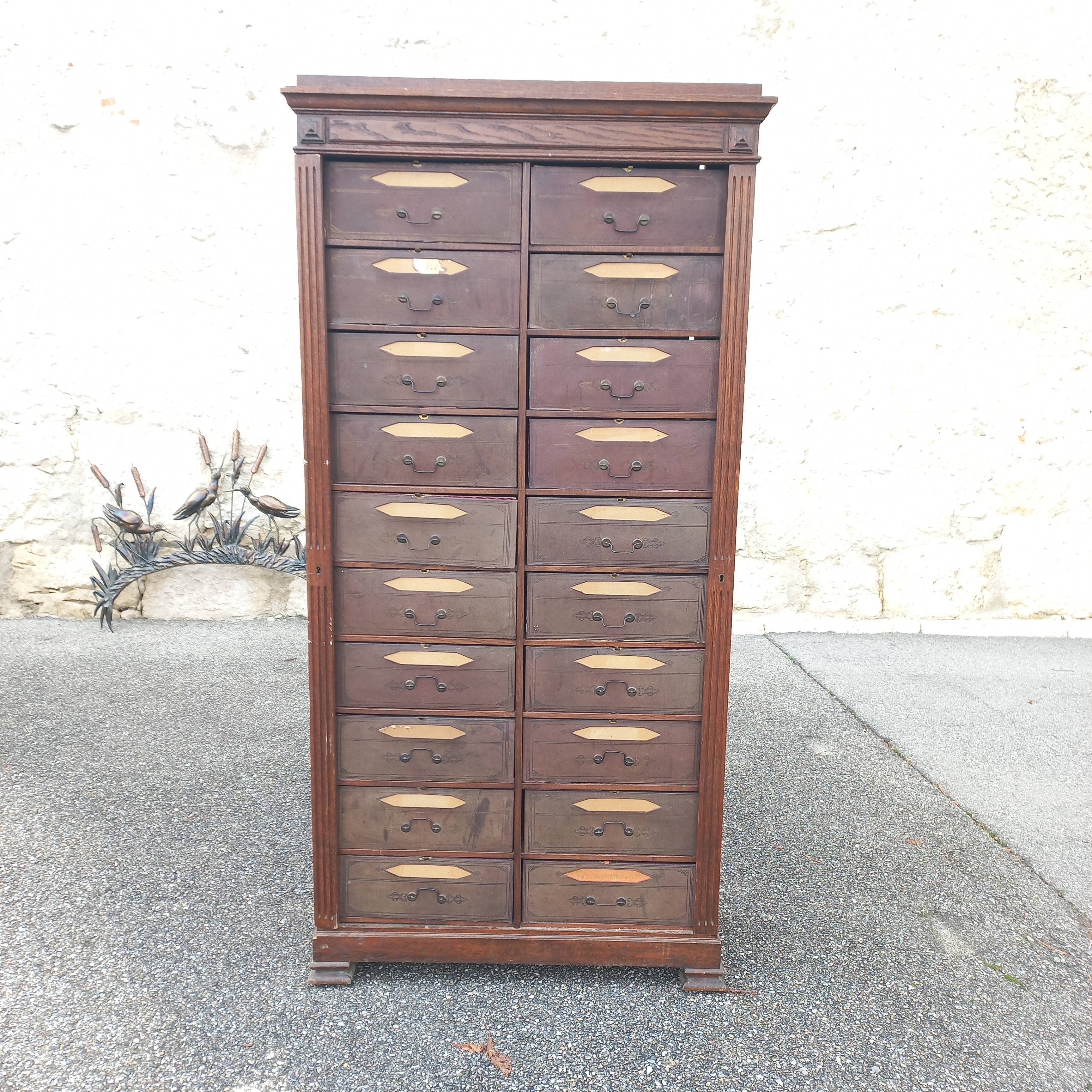 Herbalist cardboard maker