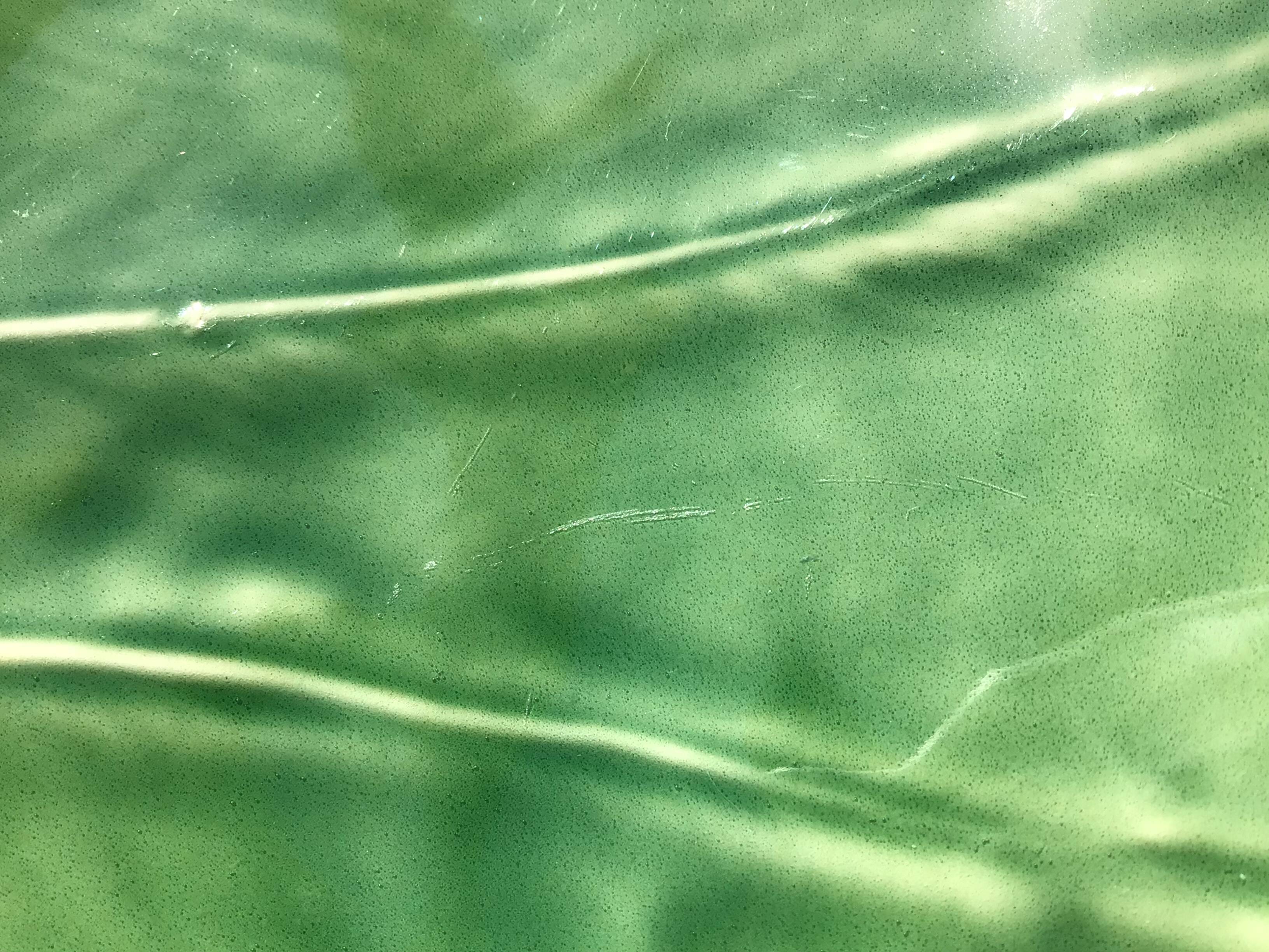 Exotic leaf fruit bowl