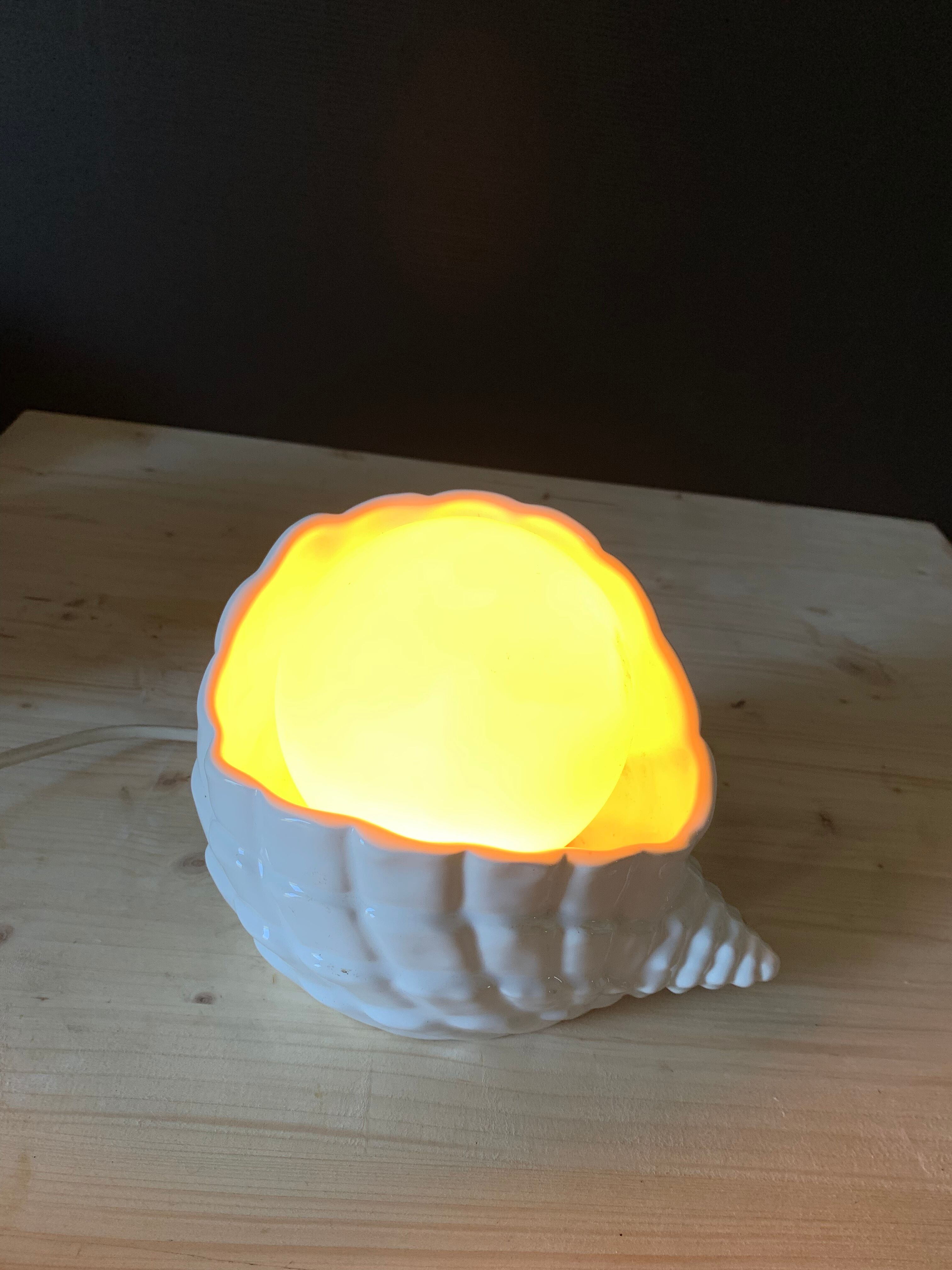 Shell lamp