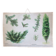 Carte scolaire botanique vintage if rouge et genévrier parfait décoration murale cuisine, loft