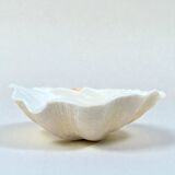 large shell-shaped ashtray Tridacna natural vintage 1970s