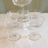 6 coupes à Champagne