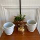 Paire de cache pots porcelaine de Limoges