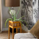 Wooden plant holder