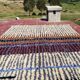 Vintage Moroccan Berber rug with multicoloured stripes – 332 x 244 cm