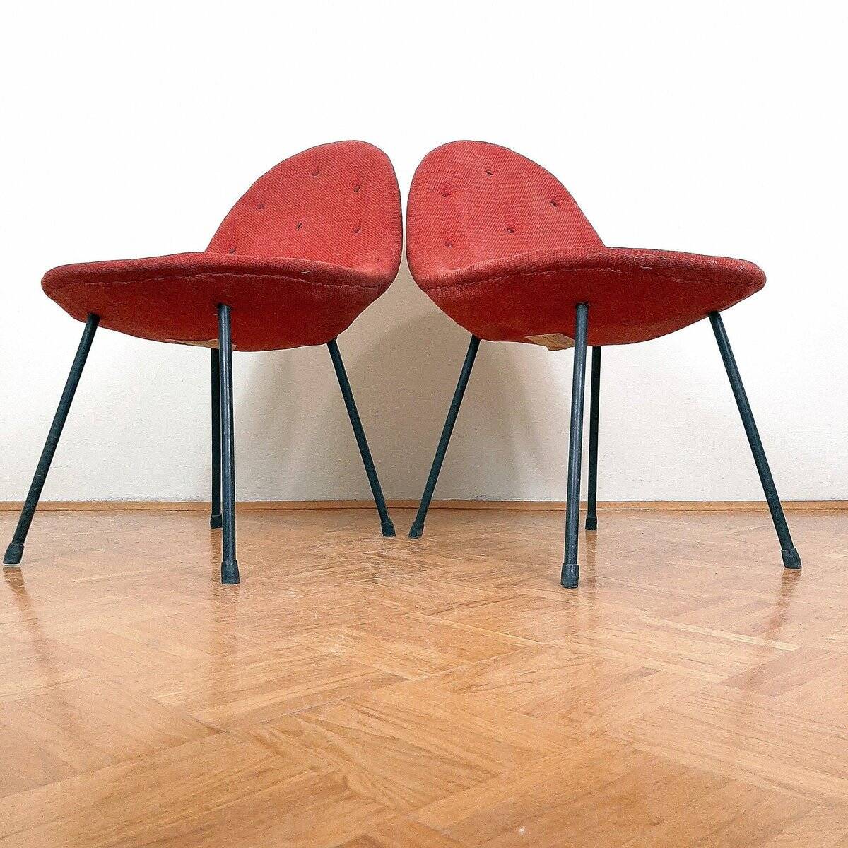 Set of Italian mid-century cocktail chairs, 1963.