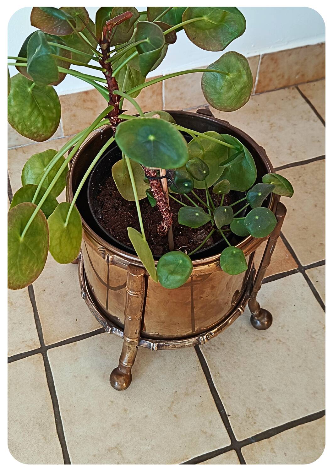 Pot de fleurs vintage en laiton faux bambou Maison Bagues