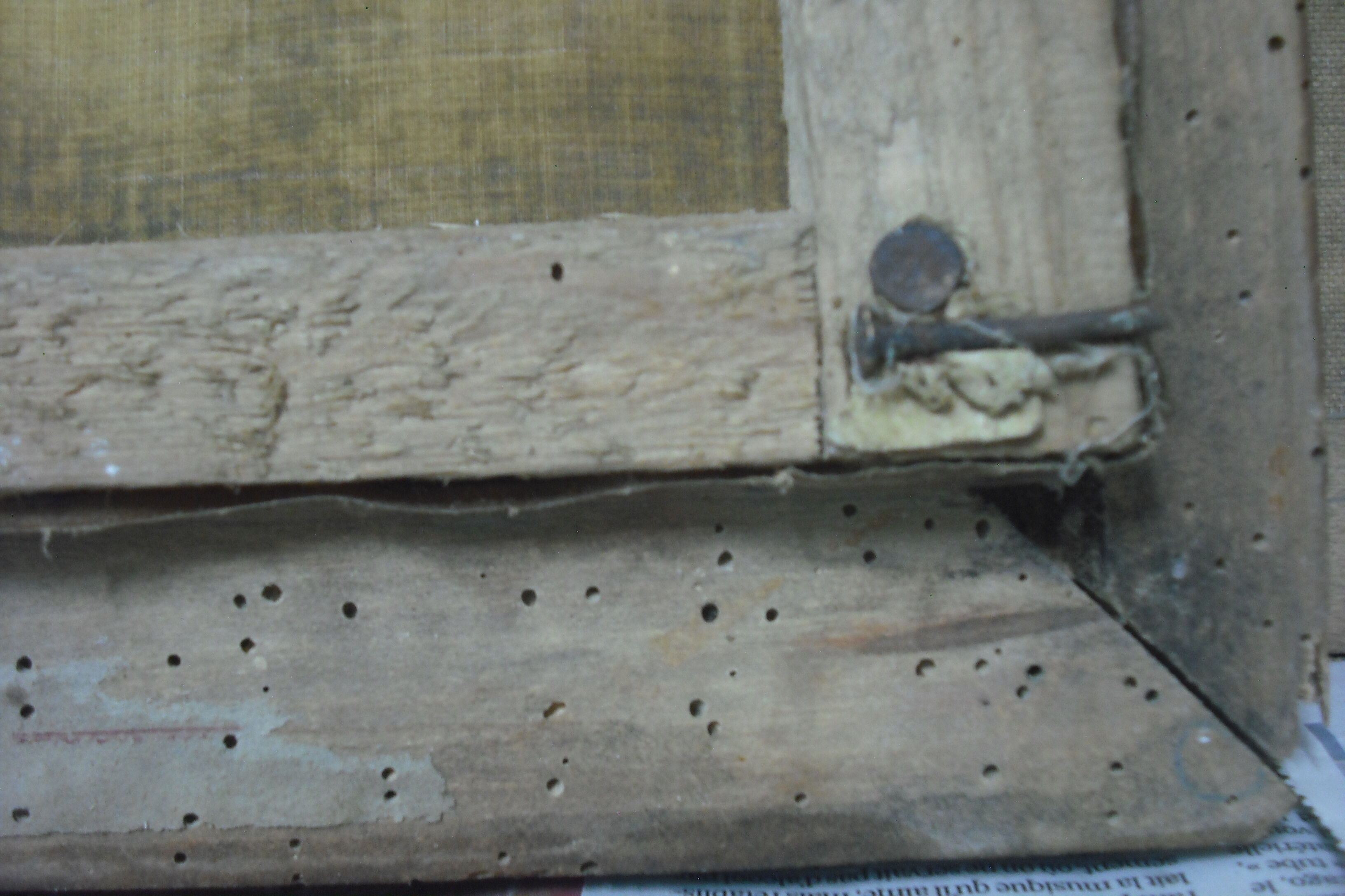 Signed Portrait, Priest 48/38