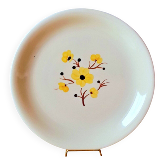 Salins earthenware plate, Catherine pattern 1960